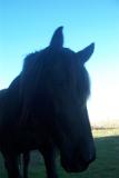 Picture 0827