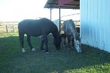Picture 0838
