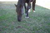 Picture 0844