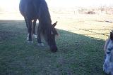 Picture 0846
