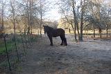 Picture 0861