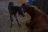 Picture 0931