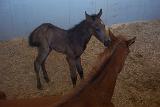 Picture 0936