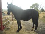dscn3104