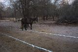 Picture 0302