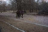 Picture 0303