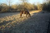Picture 0356