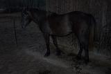 Picture 0366