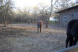 Picture 0371