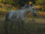 dscn1047