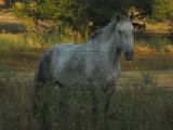 dscn1048