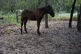 PictureD 0327