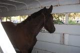 PictureD 0343
