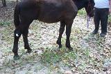 PictureD 0346