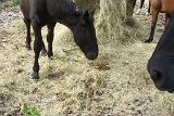 PictureD 0381