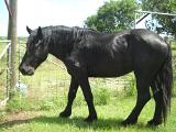 dscn2501