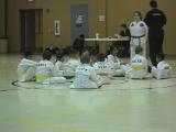 DSCN3931
