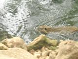 dscn1225