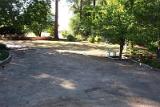 Picture 0003