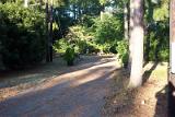 Picture 0041