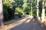 Picture 0042
