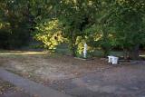 Picture 0051