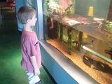 IMG 20110827 133023