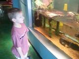 IMG 20110827 133028