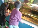 IMG 20110827 133041