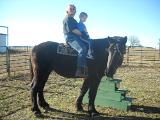 new years day 2010