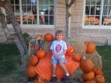 2010-10-24 15.57.47