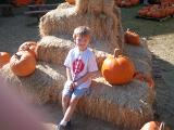 2010-10-24 15.59.23