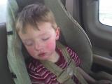 Photo 020208 001