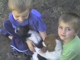 Photo 040809 002
