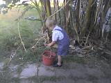 Photo 052608 007