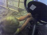 Photo 073108 003