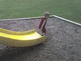Photo 081708 003
