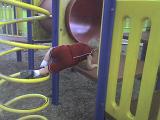Photo 081708 012