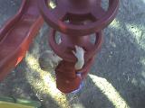 Photo 092708 001