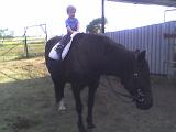 Photo 100707 001