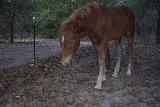 Picture 0031