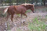 Picture 0036