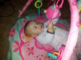 IMG 20120112 175634