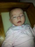 IMG 20120127 062323
