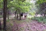 PictureD 0094