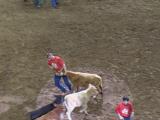 DSCN0447