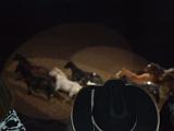 DSCN0465