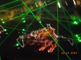 DSCN0091