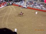 DSCN0132