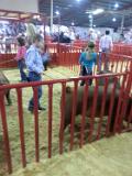 sa rodeo 2015